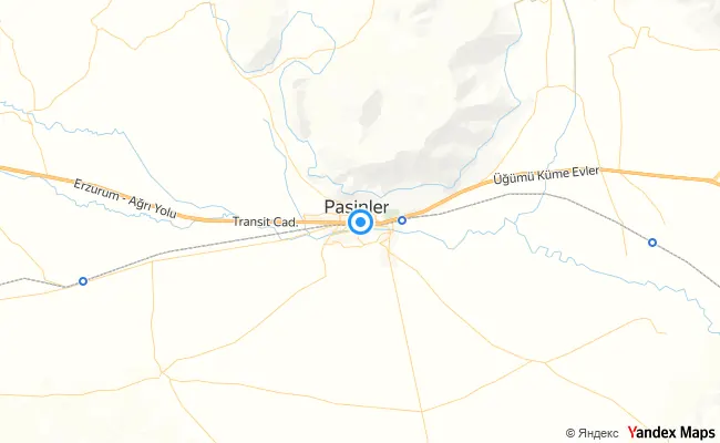 Pasinler Erzurum konum haritası