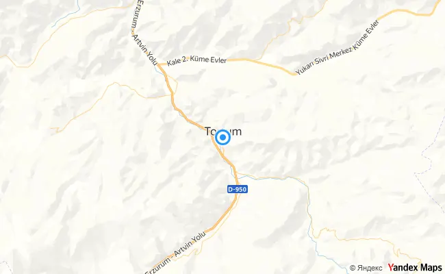 Tortum Erzurum konum haritası