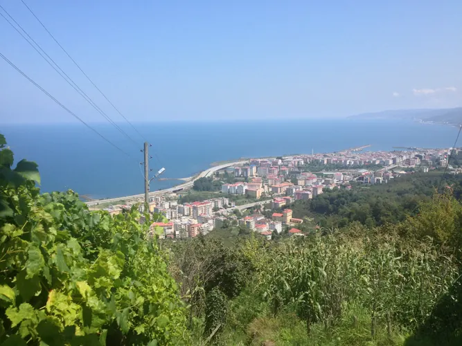 Görele Rehberi - Giresun