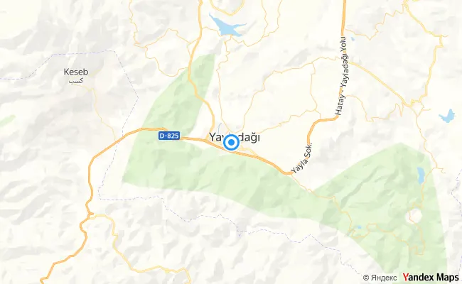 Yayladağı Hatay konum haritası