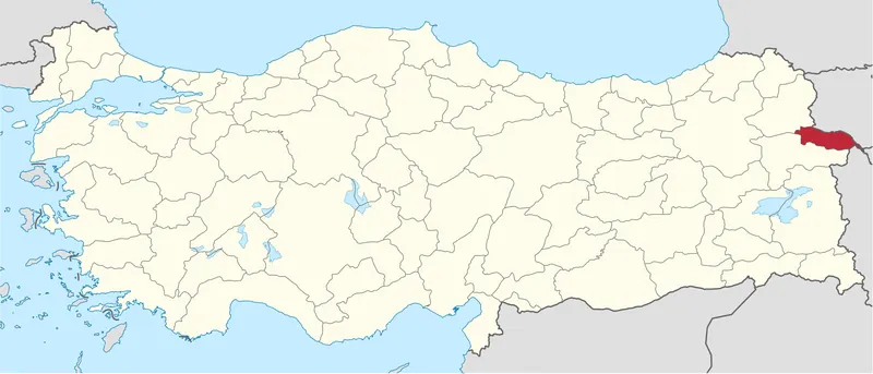 Aralık Hakkinda Her Sey