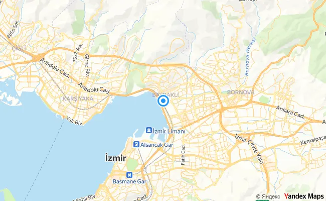 Bayraklı İzmir konum haritası