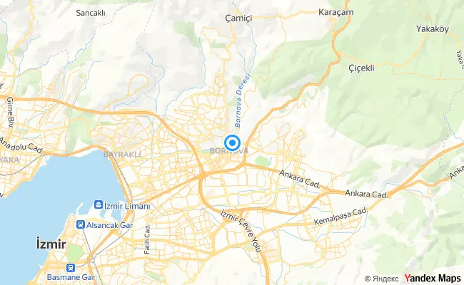 Bornova İzmir konum haritası