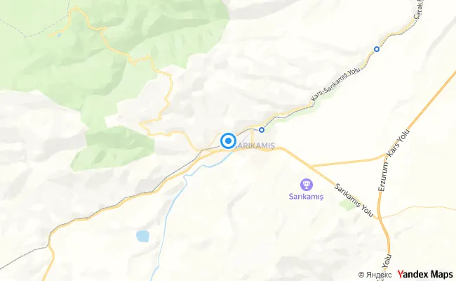Sarıkamış Kars konum haritası
