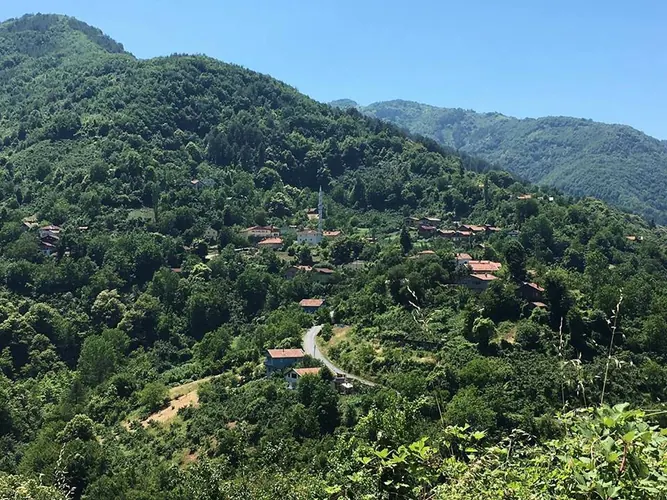 Doğanyurt Yasam ve Sosyal Ortam