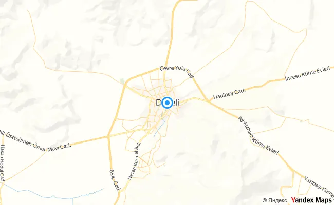 Develi Kayseri konum haritası
