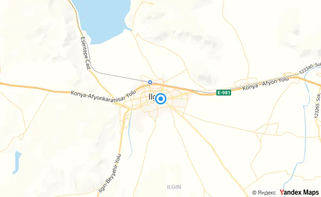 Ilgın Konya konum haritası