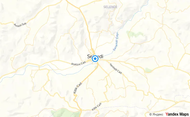 Selendi Manisa konum haritası
