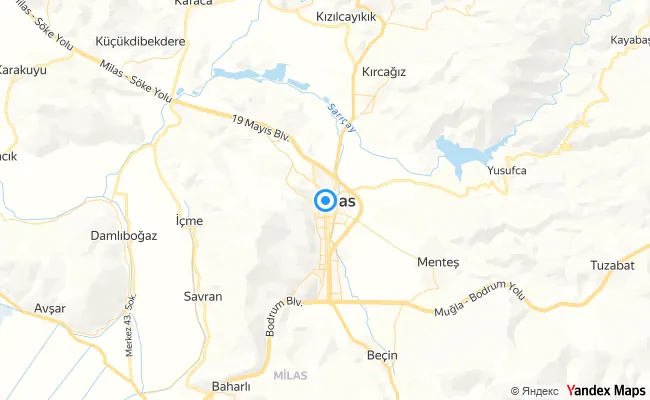 Milas Muğla konum haritası