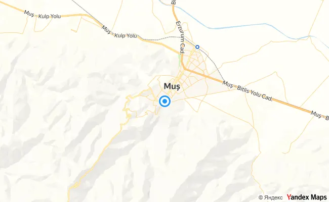 Merkez Muş konum haritası