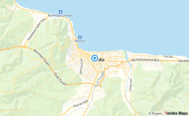 Altınordu Ordu konum haritası