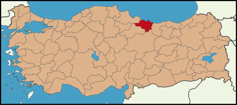 Altınordu Rehberi - Ordu