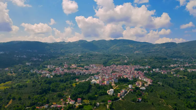 Aybastı Rehberi - Ordu