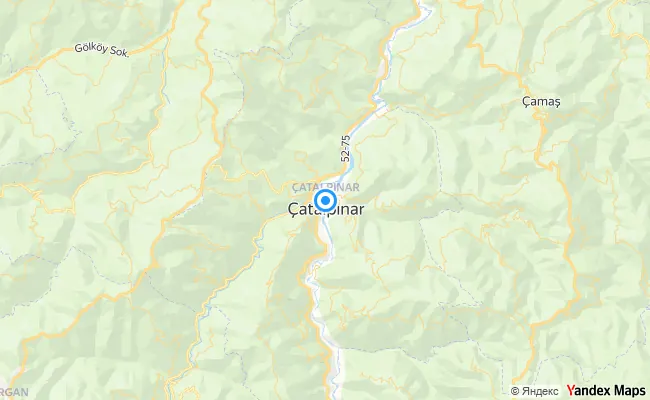 Çatalpınar Ordu konum haritası