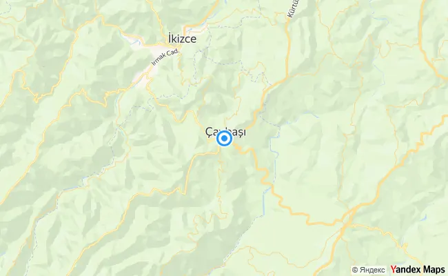 Çaybaşı Ordu konum haritası