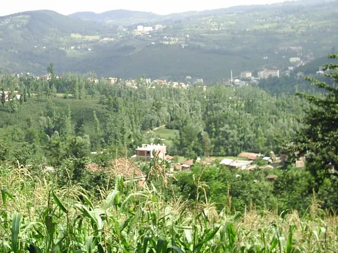 Gölköy Hakkinda Her Sey