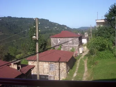 Gülyalı Yasam ve Sosyal Ortam