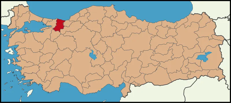 Arifiye Rehberi - Sakarya
