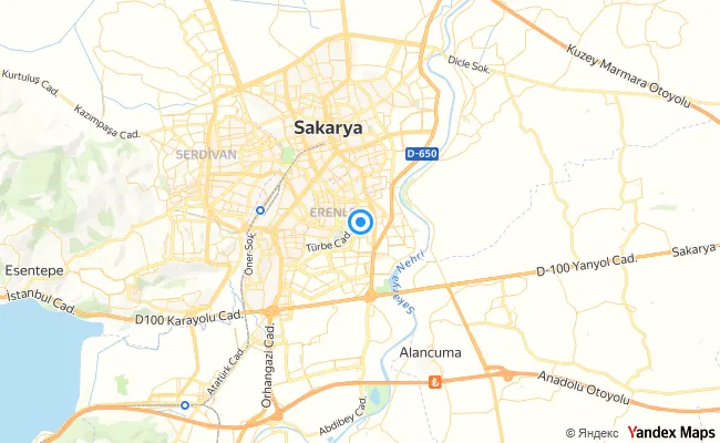 Erenler Sakarya konum haritası