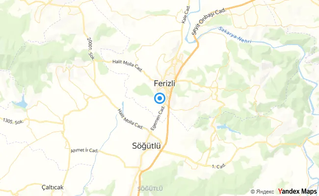 Ferizli Sakarya konum haritası
