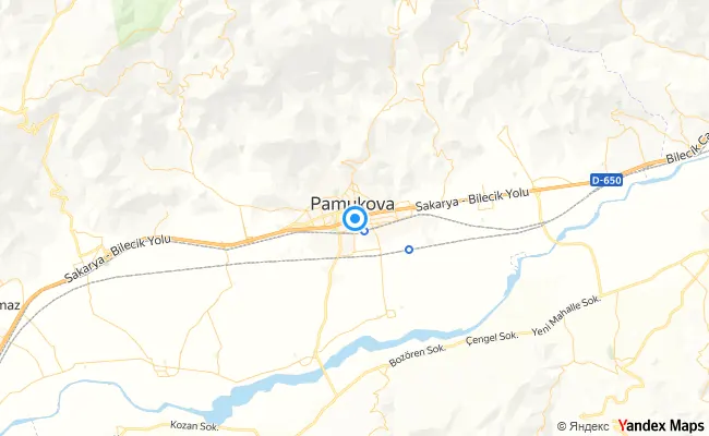 Pamukova Sakarya konum haritası