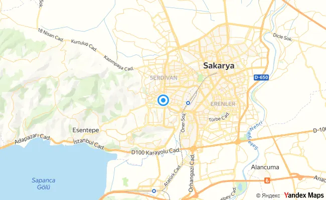 Serdivan Sakarya konum haritası