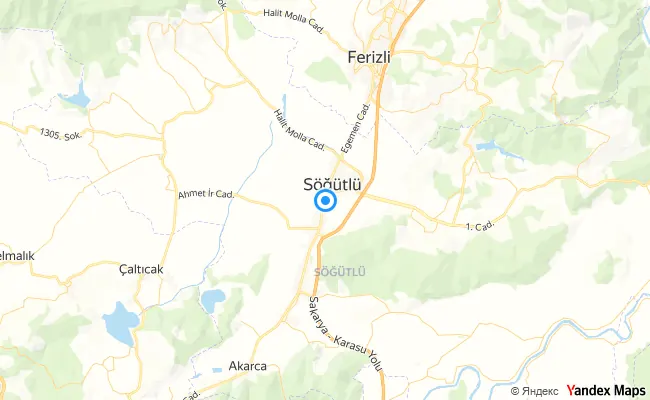 Söğütlü Sakarya konum haritası