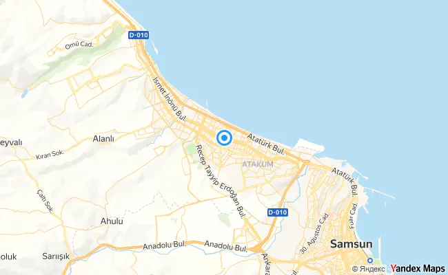Atakum Samsun konum haritası