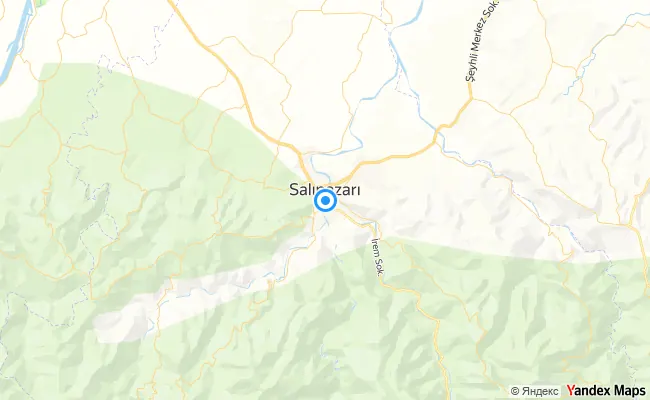 Salıpazarı Samsun konum haritası