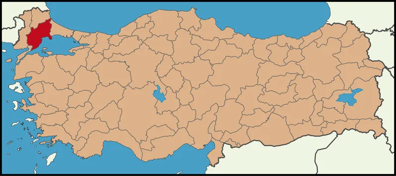 Saray Yasam ve Sosyal Ortam