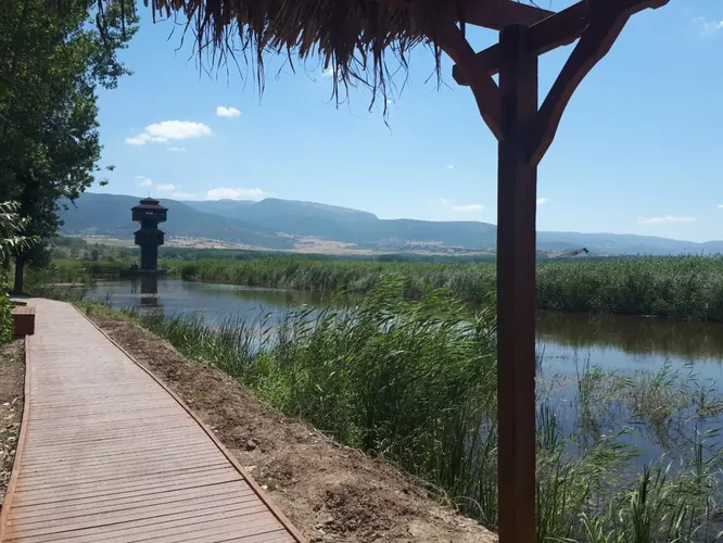 Pazar Yasam ve Sosyal Ortam