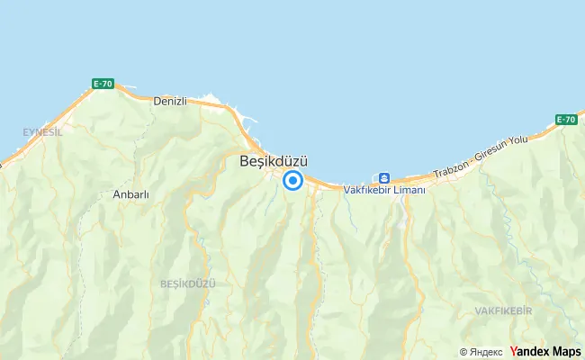 Beşikdüzü Trabzon konum haritası