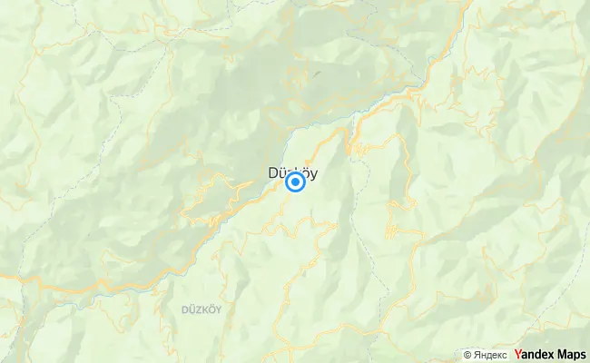 Düzköy Trabzon konum haritası