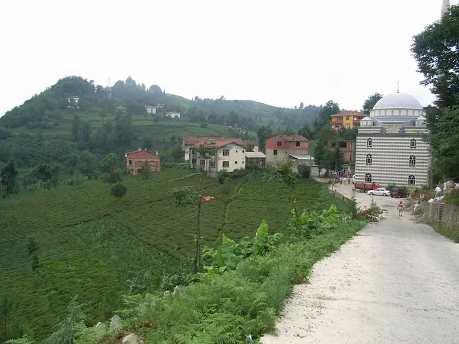 Hayrat Bolge Rehberi