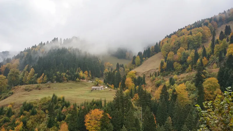 Maçka Bolge Rehberi