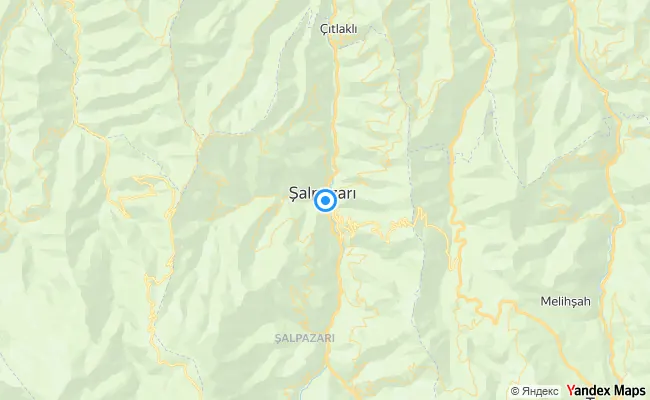 Şalpazarı Trabzon konum haritası
