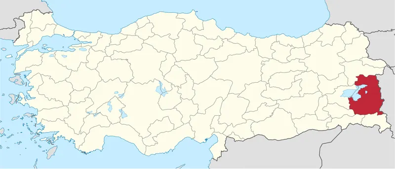 Çatak Yasam ve Sosyal Ortam