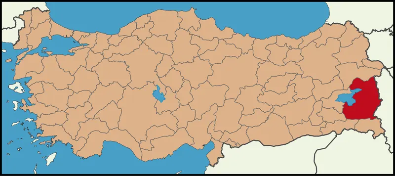 Saray Yasam ve Sosyal Ortam