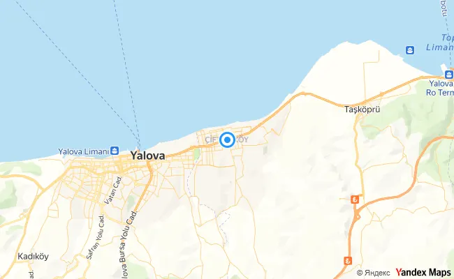 Çiftlikköy Yalova konum haritası
