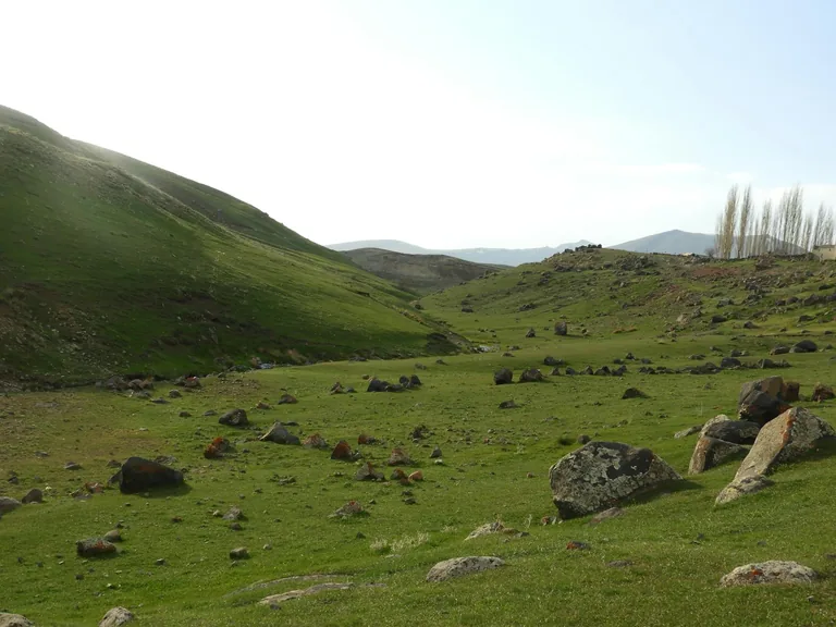 Ağrı konum haritasi