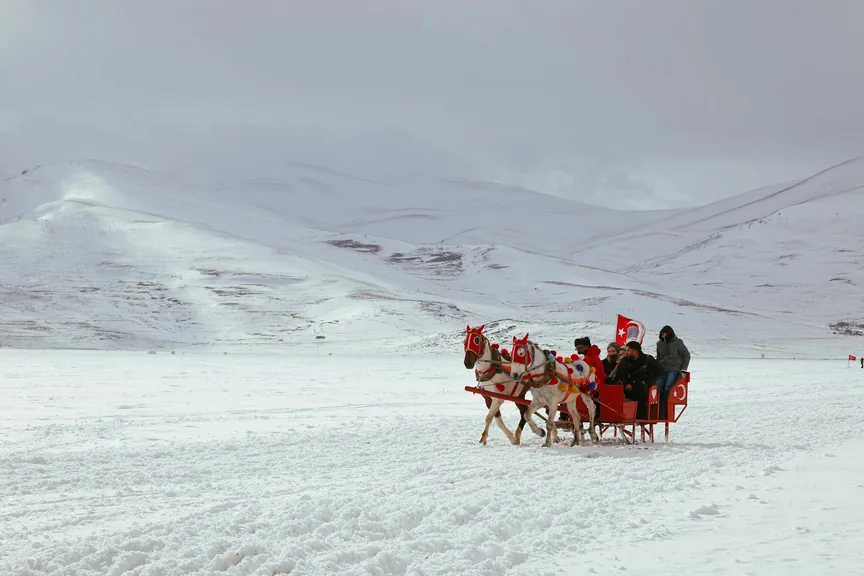 Ardahan konum haritasi