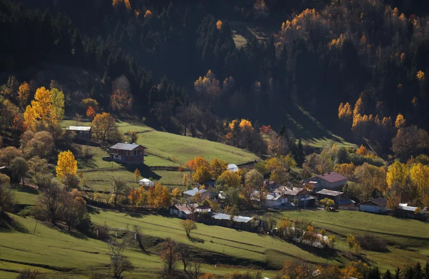 Artvin konum haritasi