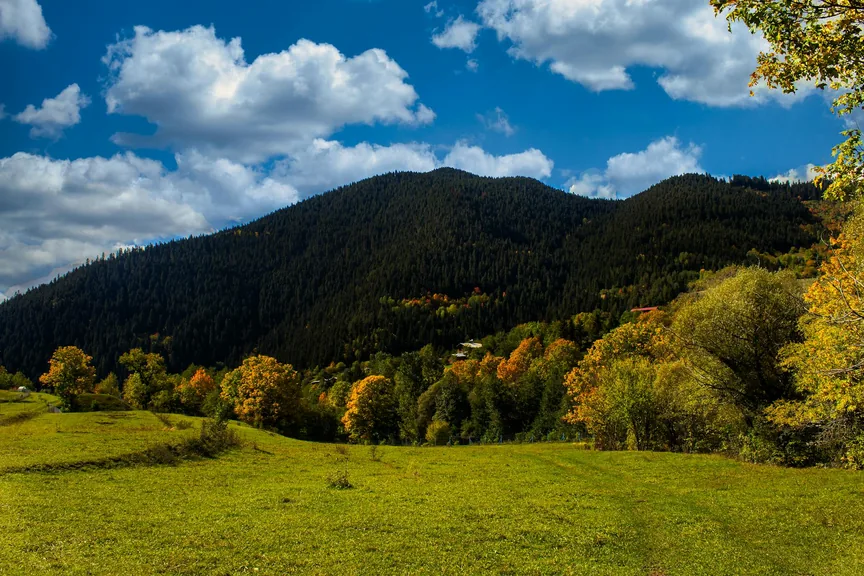 Şavşat Artvin konum haritasi