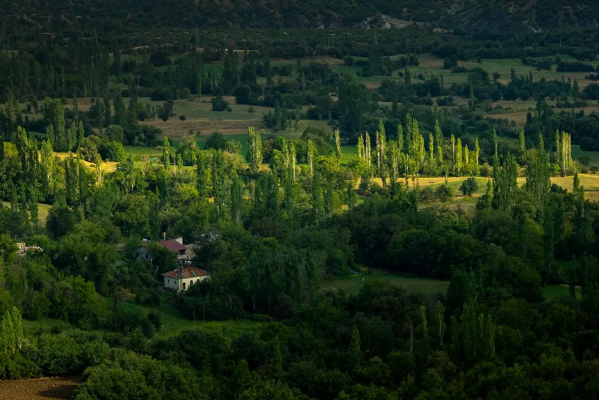 Bitlis konum haritasi