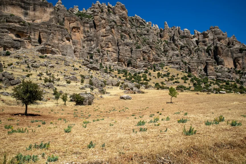 Diyarbakır konum haritasi