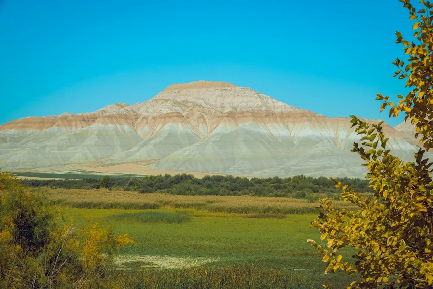Iğdır konum haritasi