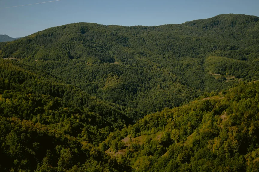 Devrekani Kastamonu konum haritasi