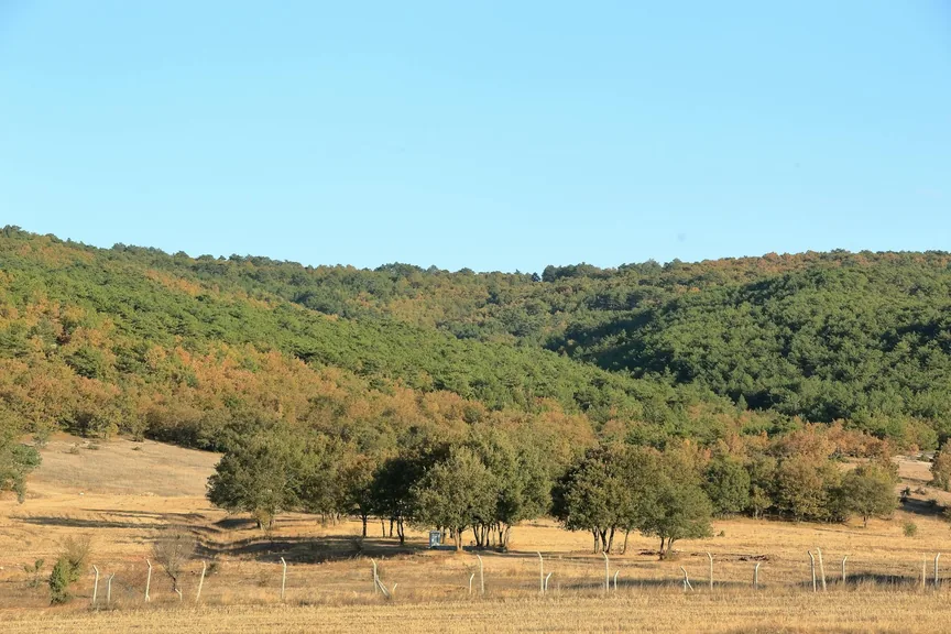 Kırklareli konum haritasi