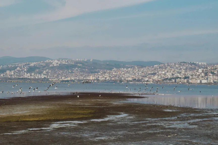 İzmit Kocaeli konum haritasi