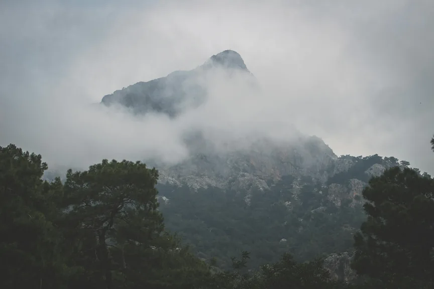 Muğla konum haritasi